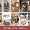 Events im Hofgarten: Klein und Fein