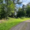 Wanderung Straufhainwanderung 