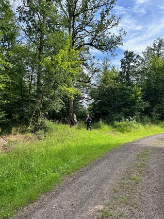 Wandern