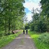Wanderung zur Gedenkstätte Billmuthausen 