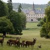 Halloween im WildPark Schloss Tambach