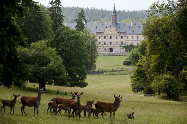 Schloss Tambach