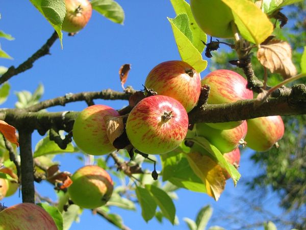 Naturführung