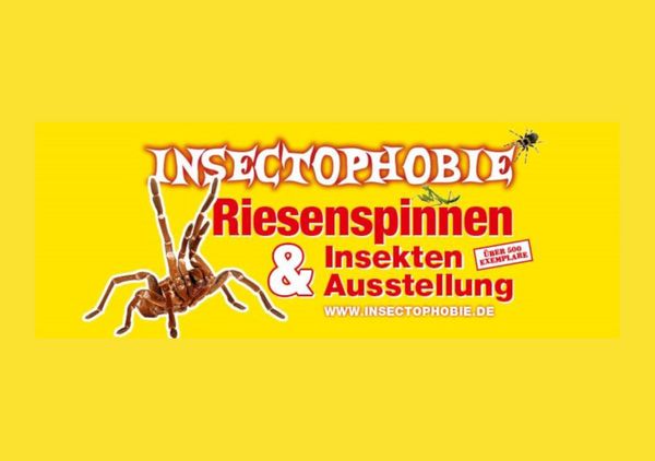 Insectophobie Insectophobie