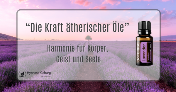 Schauberger Schauberger