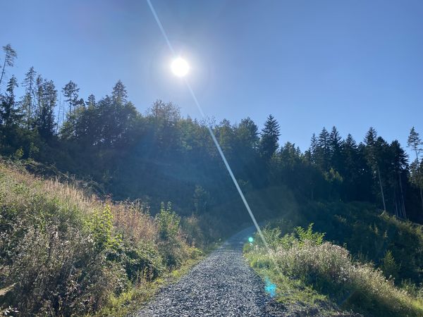 Energiewanderung Fürth am Berg