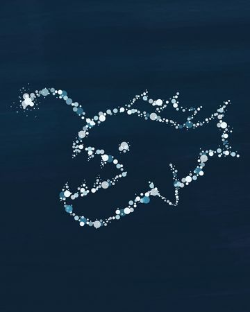 Anglerfisch Illustation