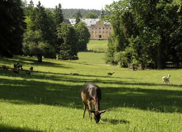 Schloss Tambach