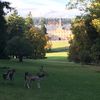 Vollmondführung im WildPark Schloss Tambach