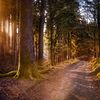 Geführte Wanderung: Erinnerung am einstigen Grenzübergang Geführte Wanderung: Erinnerung am einstigen Grenzübergang
