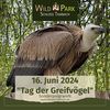 Tag der Greifvögel im WildPark Schloss Tambach