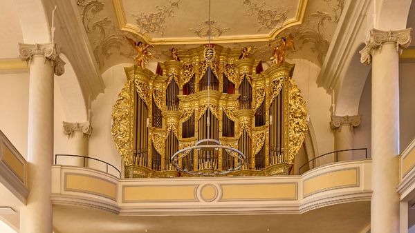 Schuke-Orgel