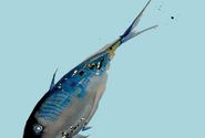 Buchcover Lauchgoldfisch
