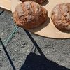 Brot backen in der Alten Schäferei