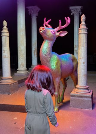 Ronja Räubertochter