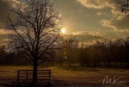 WildPark