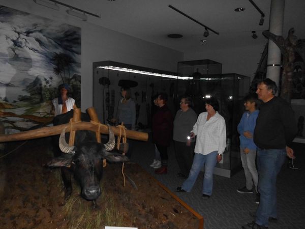 Atmosphäre wie im Film „Nachts im Museum“