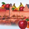 14. Coburger Gesundheitstag 14. Coburger Gesundheitstag
